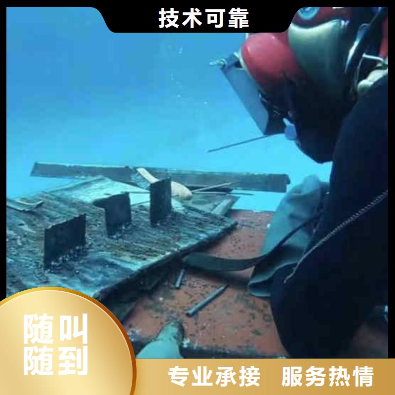 潜水员服务-水下摄影正规公司