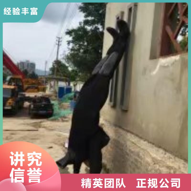 【潜水员-潜水打捞信誉保证】