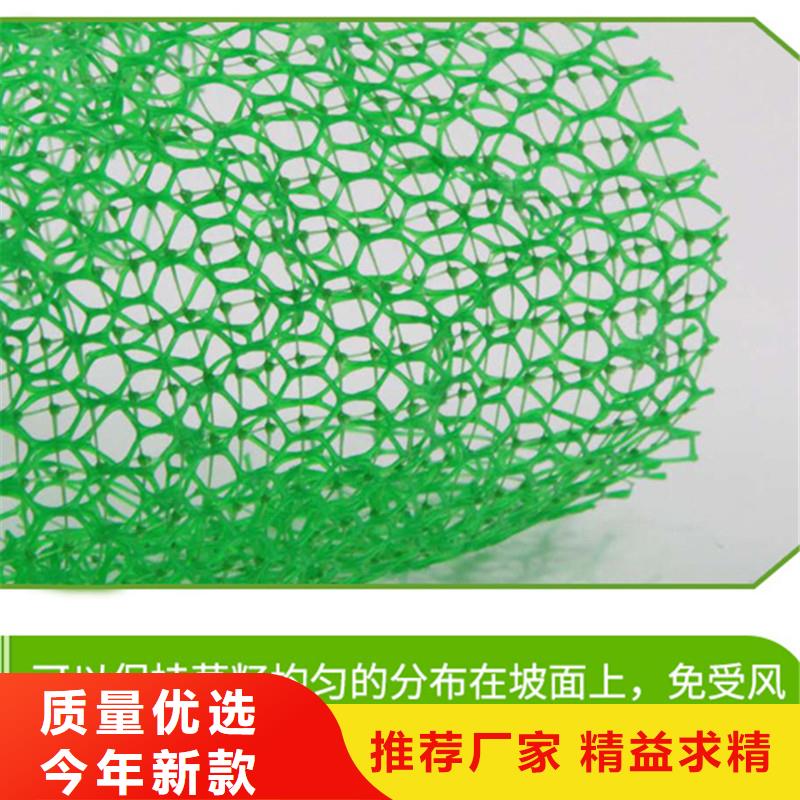 【三维植被网】,铜止水生产厂家专业完善售后