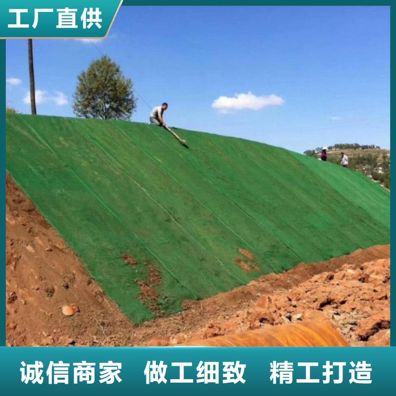三维植被网【水平止水铜片】品质卓越