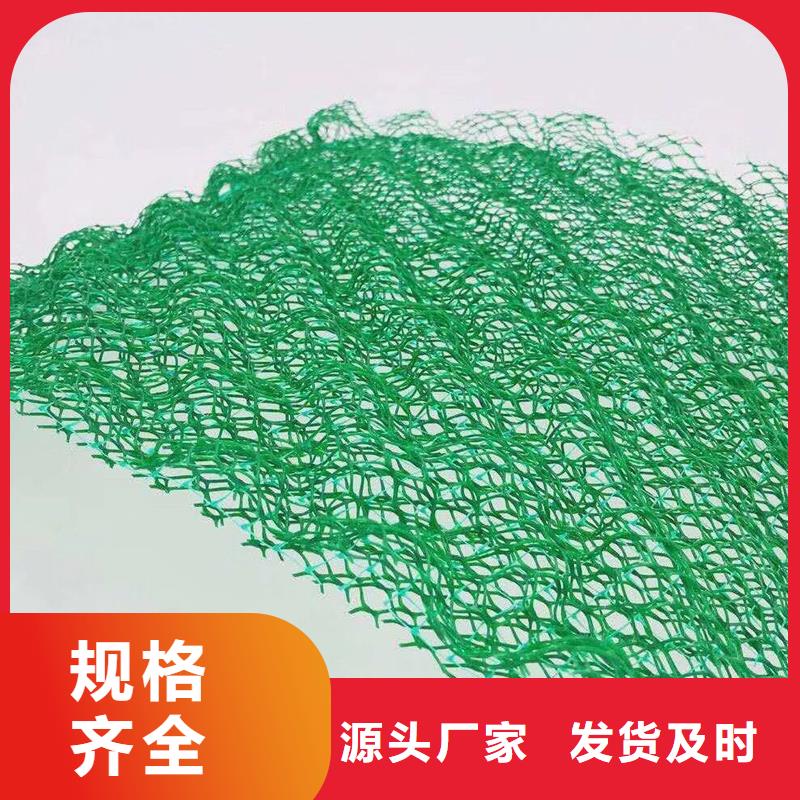 三维植被网【水平止水铜片】品质卓越