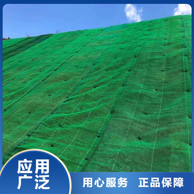 三维植被网【水平止水铜片】品质卓越