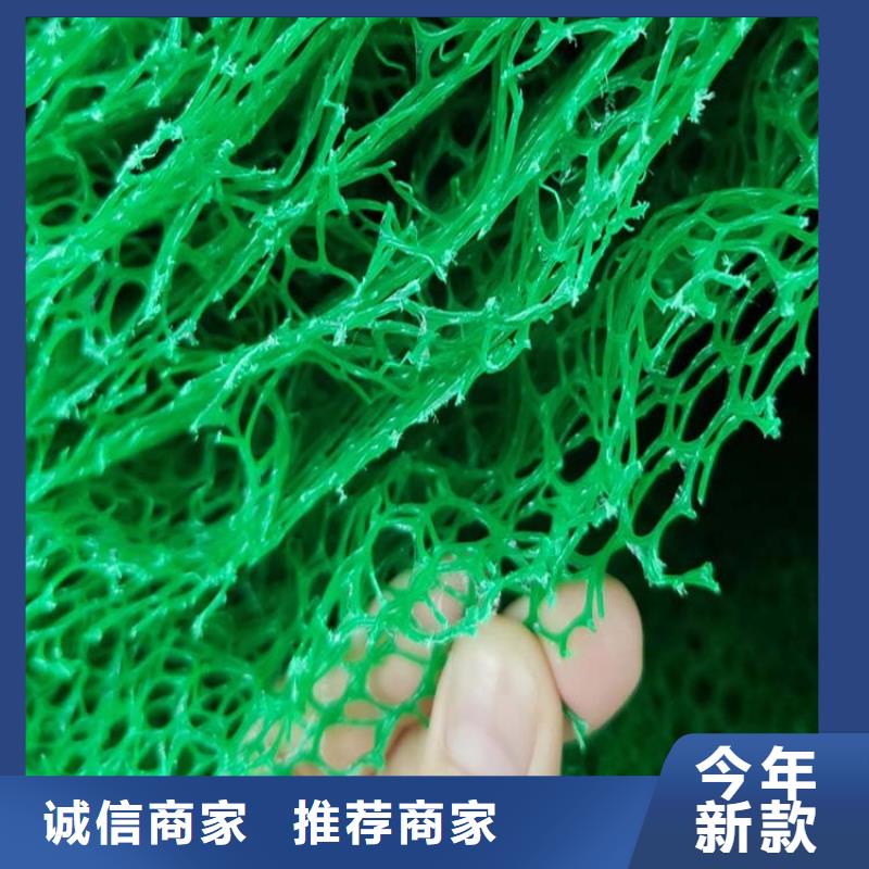【三维植被网】,铜止水生产厂家专业完善售后