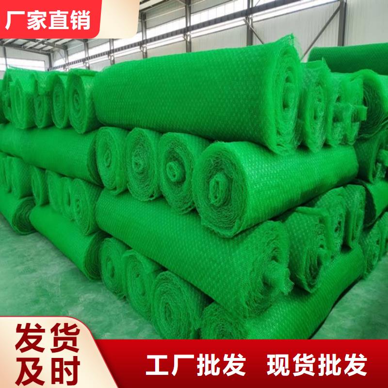 三维植被网【水平止水铜片】品质卓越