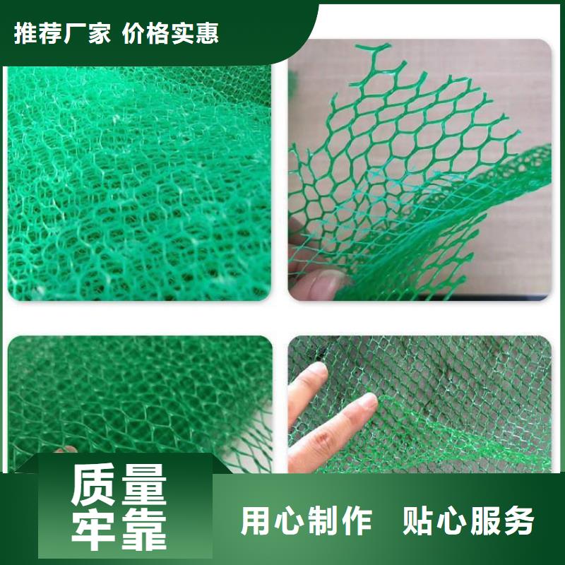 【三维植被网】,仿钢塑钢纤维高性价比