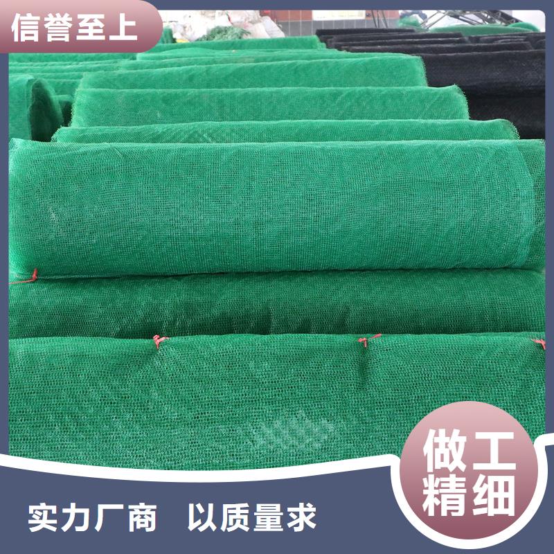 【三维植被网】,铜止水生产厂家专业完善售后