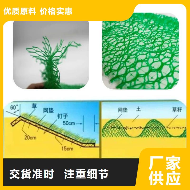 【三维植被网】,仿钢塑钢纤维高性价比