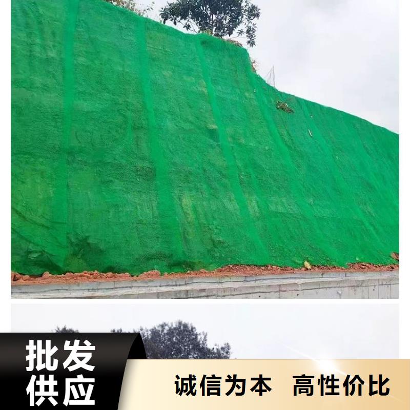 【三维植被网】,仿钢塑钢纤维高性价比