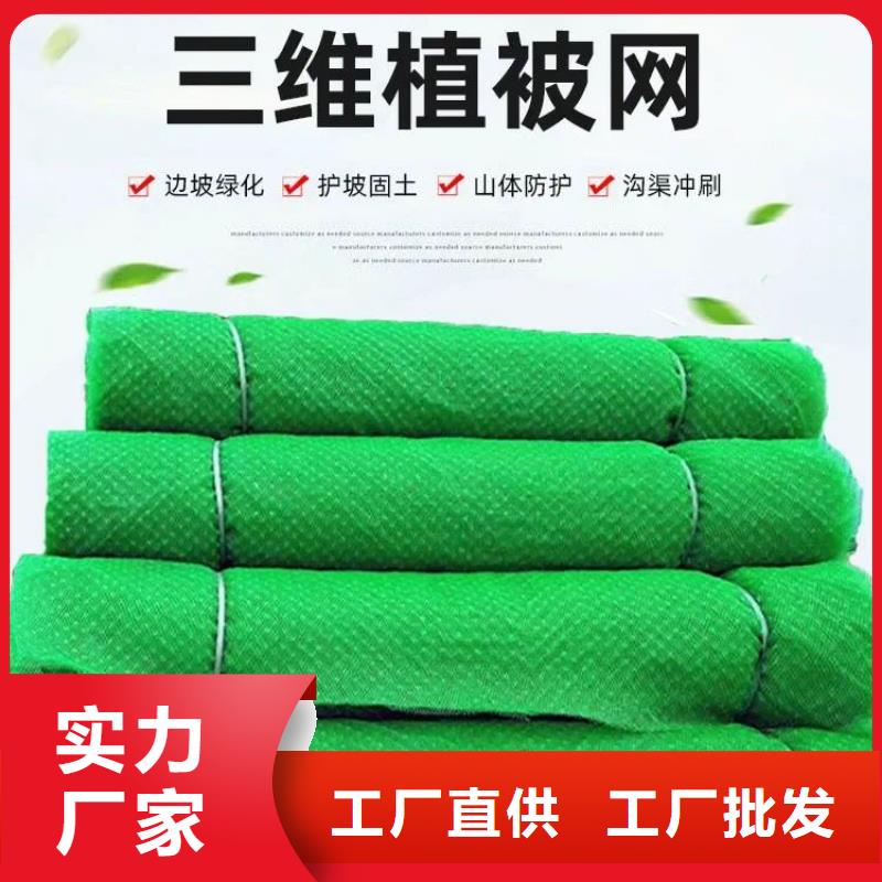 聚丙烯单丝纤维视频-聚丙烯单丝纤维(金鸿耀)覆盖地域青海省海北市黄南|海南|西宁|玉树