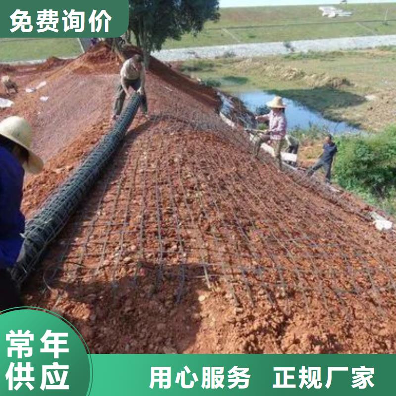【土工格栅】铜片止水实力大厂家