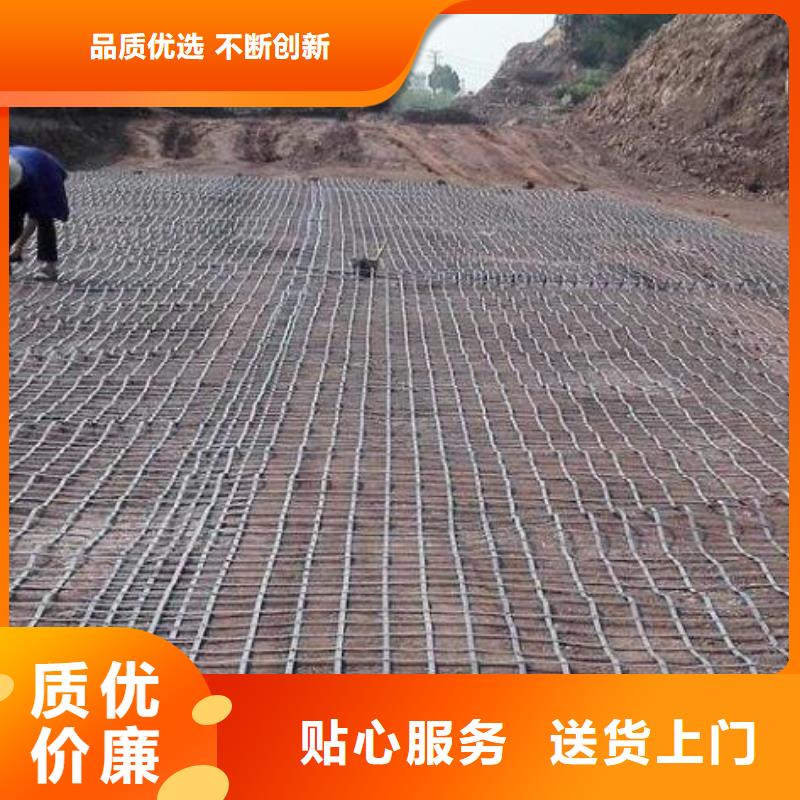 土工格栅【土工膜】支持货到付清