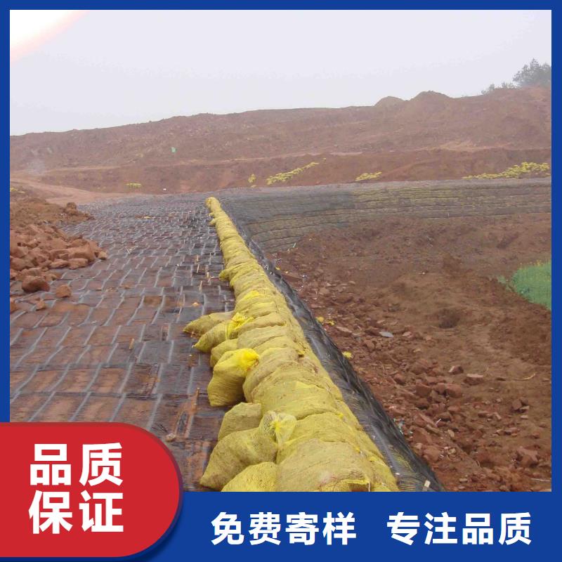 聚丙烯单丝纤维视频-聚丙烯单丝纤维-金鸿耀工程材料(北海市分公司)服务区域银海|合浦|河池|贵港|玉林|柳州|崇左