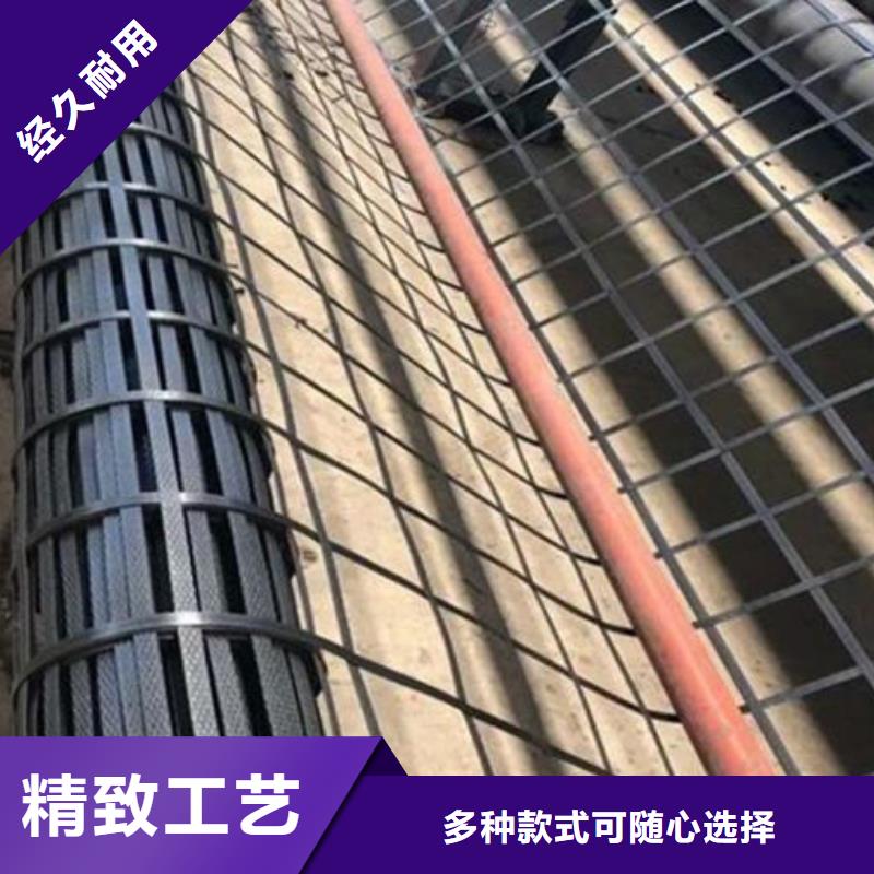 2025货到付款#土工格栅图片#生产厂家