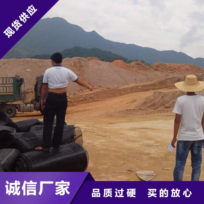 2025货到付款#土工格栅图片#生产厂家
