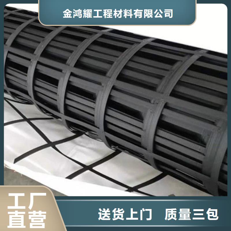2025货到付款#土工格栅图片#生产厂家