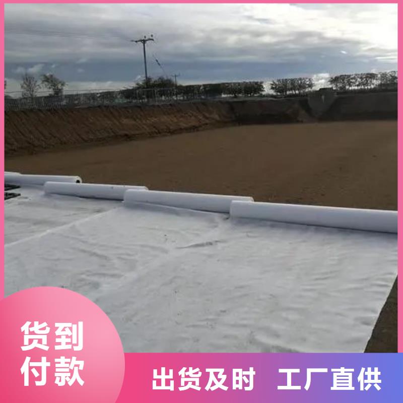 聚丙烯单丝纤维视频-兴安|包头|呼伦贝尔|呼和浩特金鸿耀聚丙烯单丝纤维_ 金鸿耀工程材料(乌海市分公司)