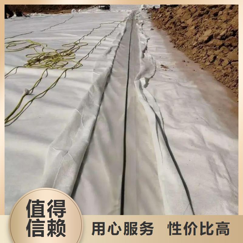 土工布,【紫铜止水片厂家】当日价格