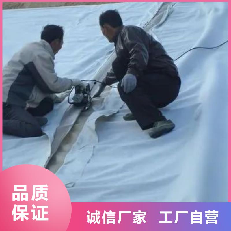 聚丙烯单丝纤维视频-聚丙烯单丝纤维_辽宁省铁岭市市场覆盖银州|调兵山|丹东|大连|本溪|葫芦岛|营口|鞍山等