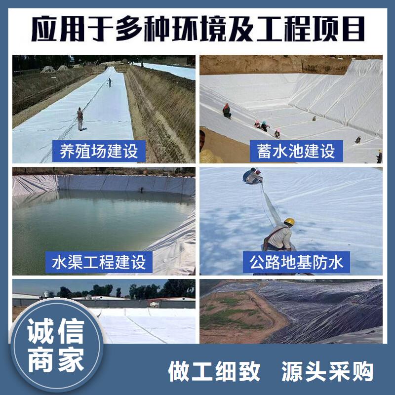 土工布,【紫铜止水片厂家】当日价格