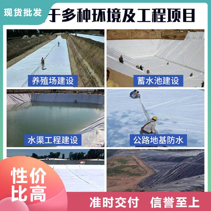 土工布_【聚丙烯纤维】专注质量