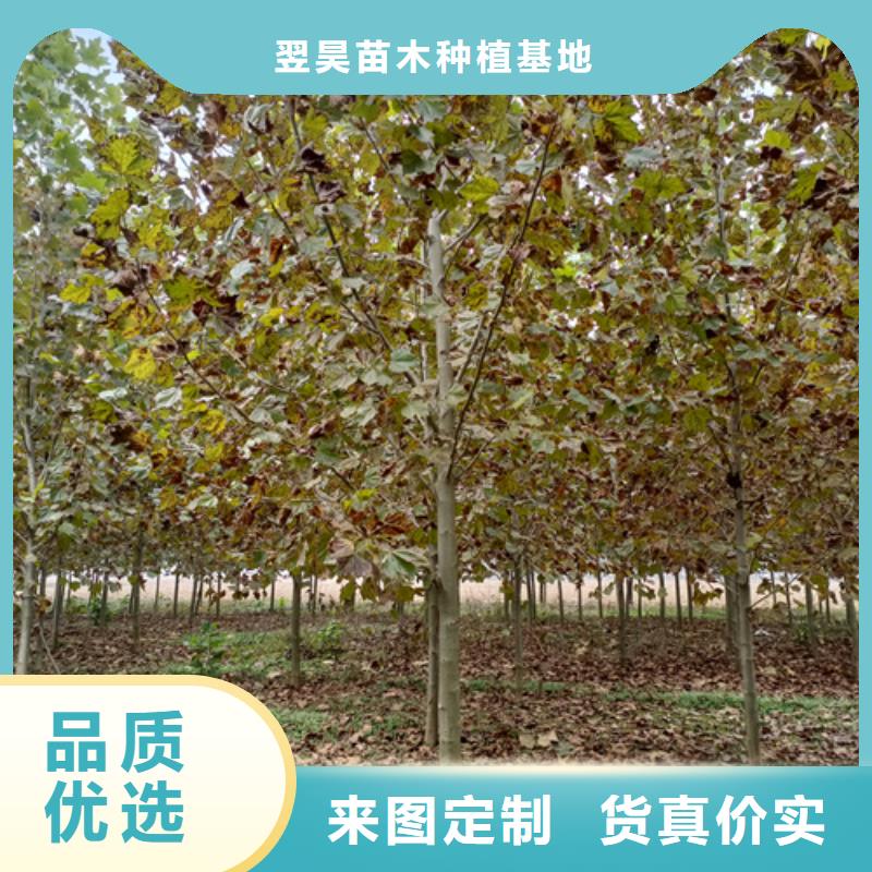 五角枫视频-五角枫(翌昊)覆盖地域贵州省黔南市都匀|平塘|黔东南|贵阳|黔西南|遵义|六盘水