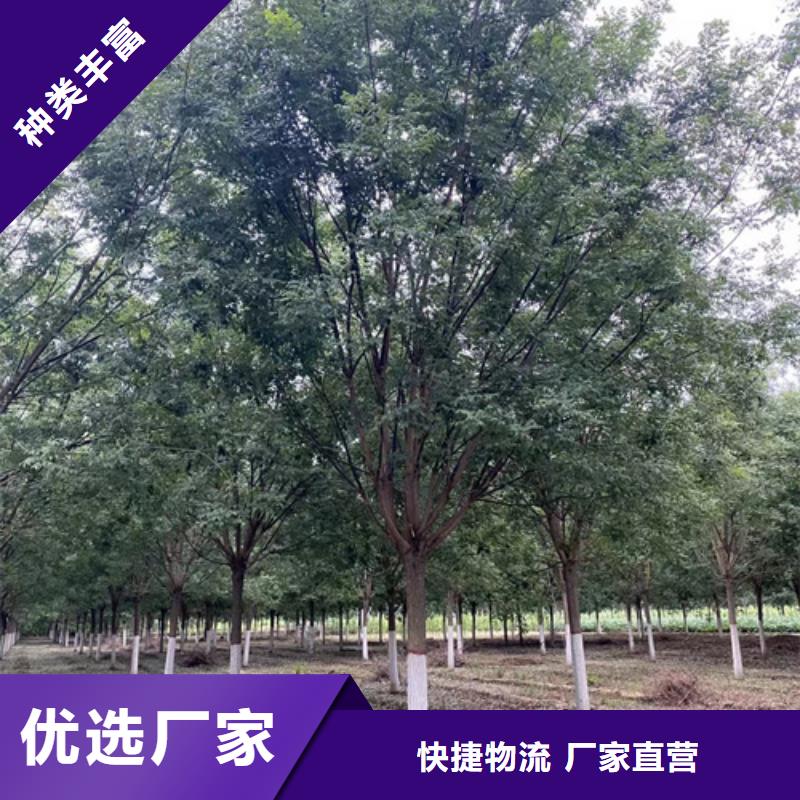 法桐,白蜡做工细致