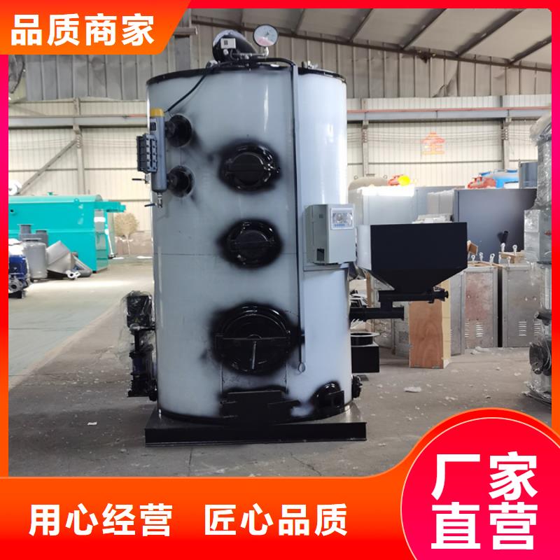 蒸汽发生器 锅炉厂家匠心品质