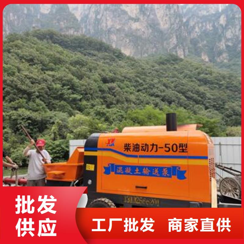 二次构造柱泵-二次结构浇注品牌专营