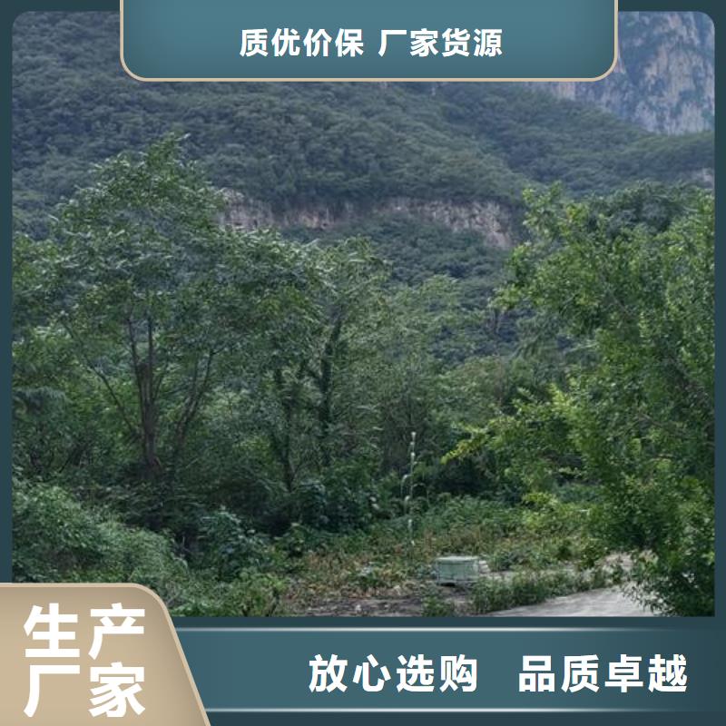 二次构造柱泵混凝土输送泵规格型号全