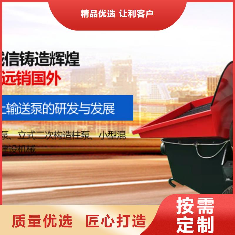 二次构造柱泵-二次结构浇注品牌专营