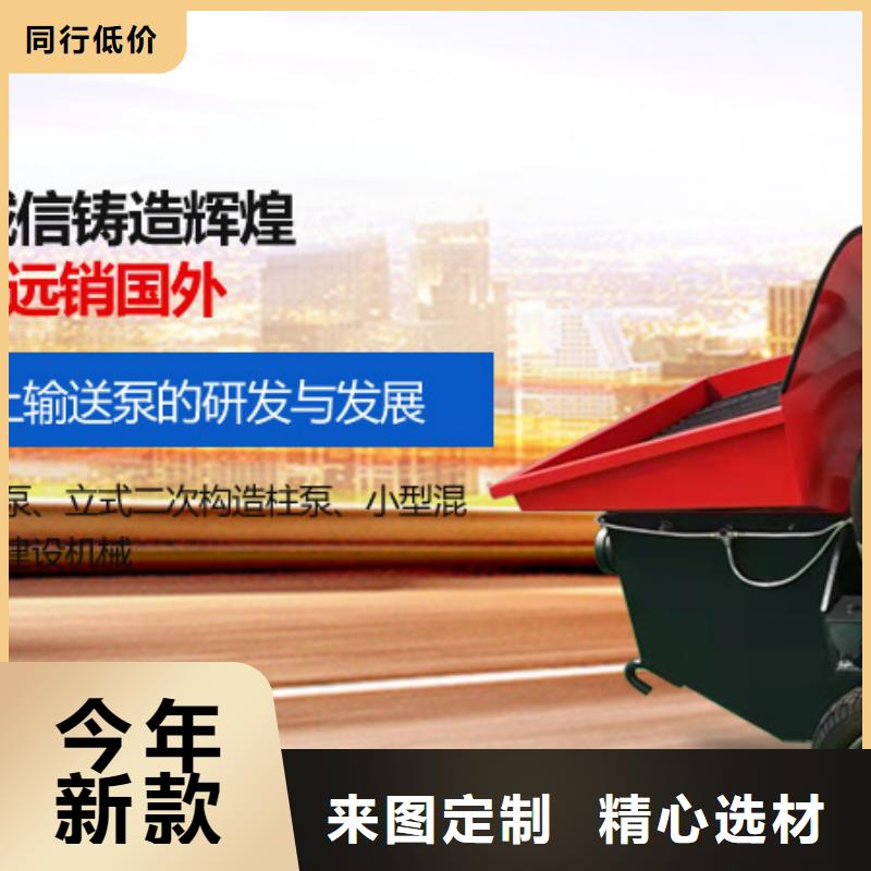 二次构造柱泵源头厂家供应