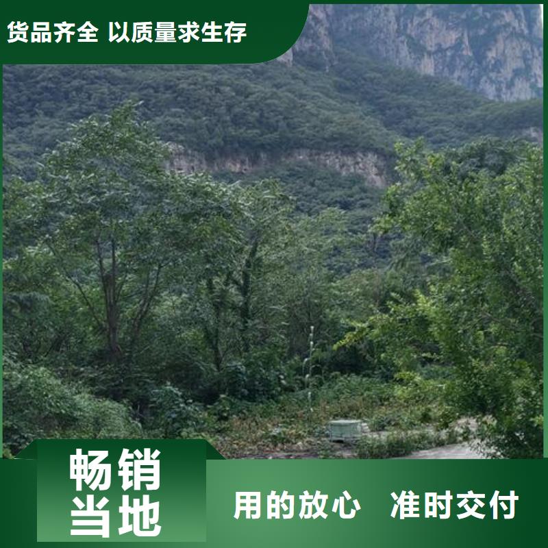 【小型混凝土泵】,二次泵本地配送