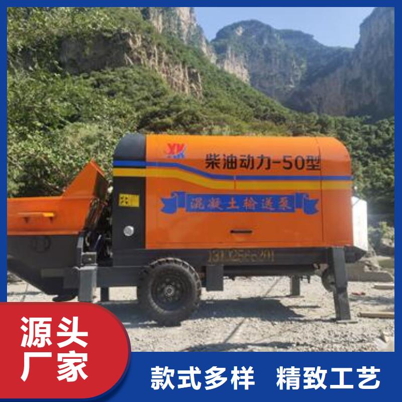 小型混凝土泵二次构造柱泵支持定制加工