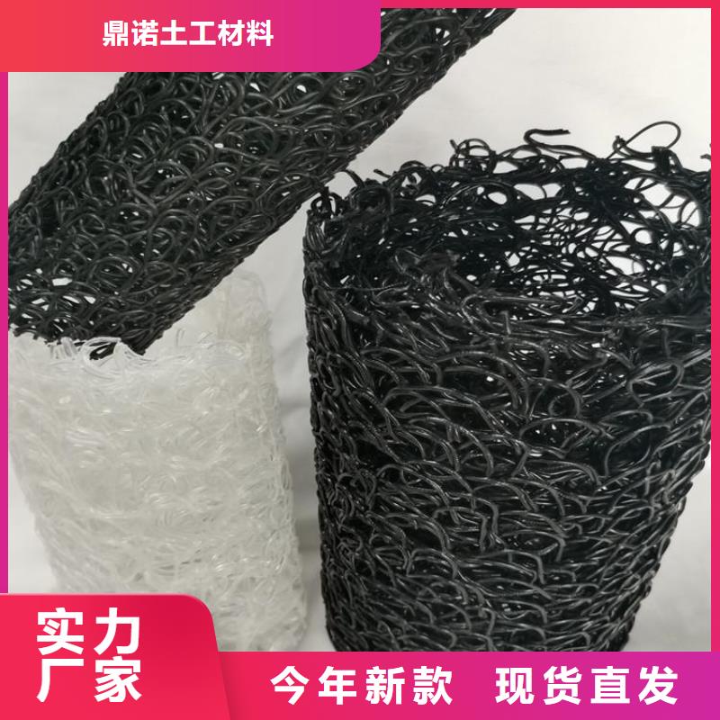 玻纤格栅视频-玻纤格栅(鼎诺)覆盖地域陕西省宝鸡市凤翔|岐山|安康|咸阳|汉中|延安|铜川|商洛|西安