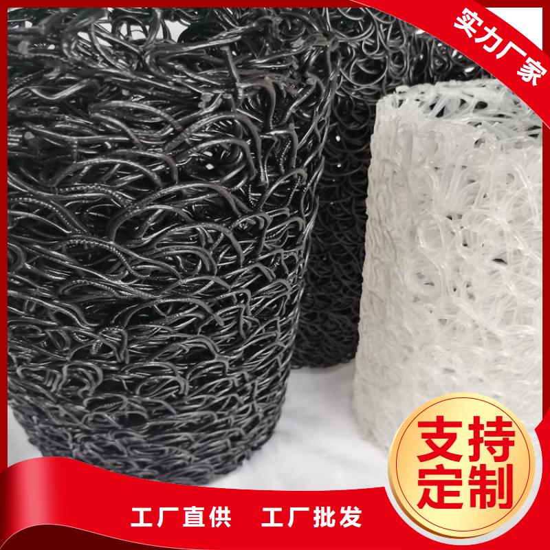 玻纤格栅视频-玻纤格栅(鼎诺)覆盖地域陕西省宝鸡市凤翔|岐山|安康|咸阳|汉中|延安|铜川|商洛|西安
