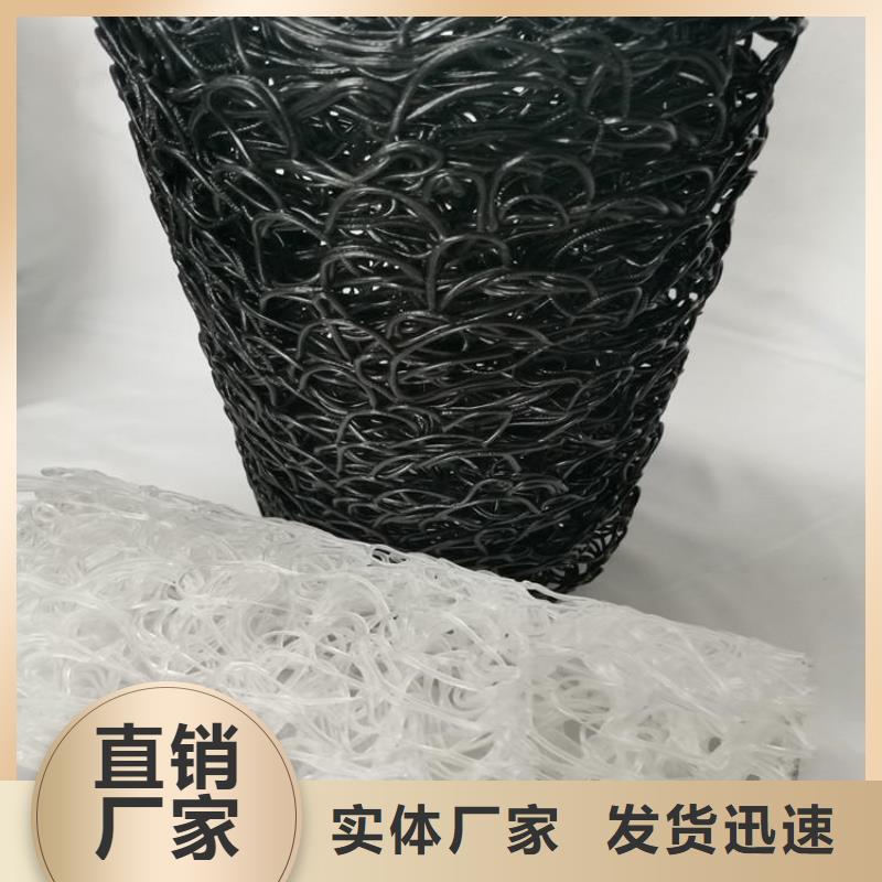 玻纤格栅视频-玻纤格栅-甘肃省临夏市康乐|广河|陇南|张掖|白银|甘南(周边)制造商