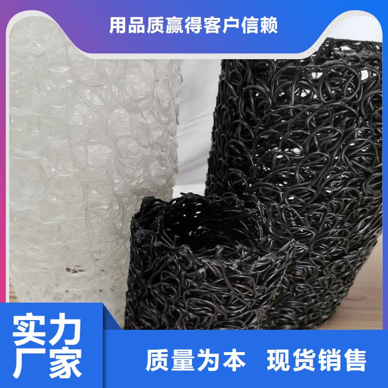 玻纤格栅视频-玻纤格栅-甘肃省临夏市康乐|广河|陇南|张掖|白银|甘南(周边)制造商