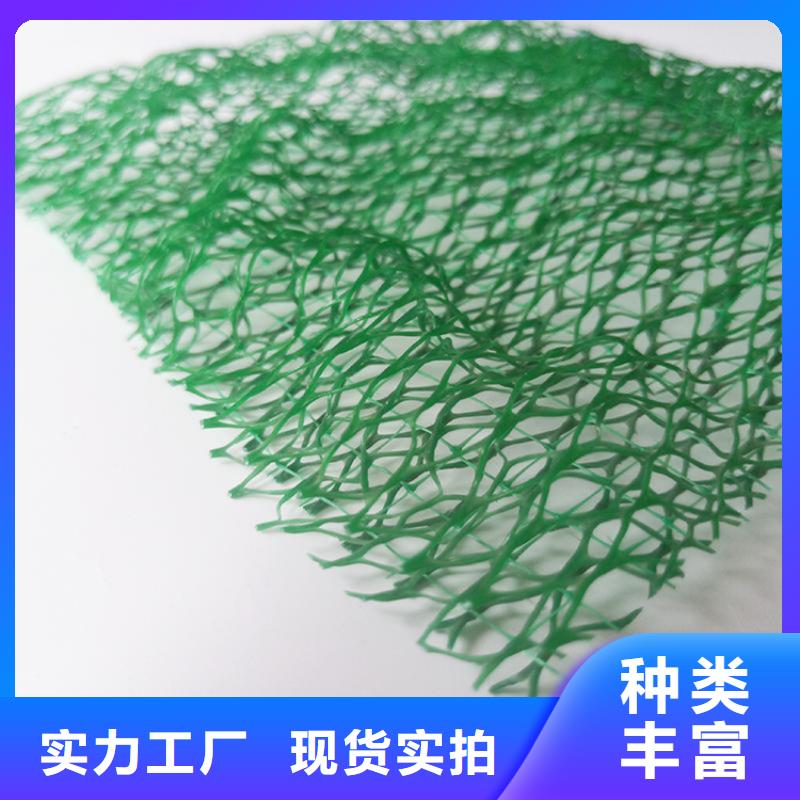 三维植被网涤纶格栅适用场景