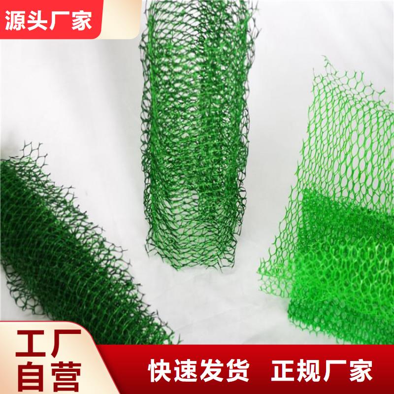 三维植被网止水带细节之处更加用心