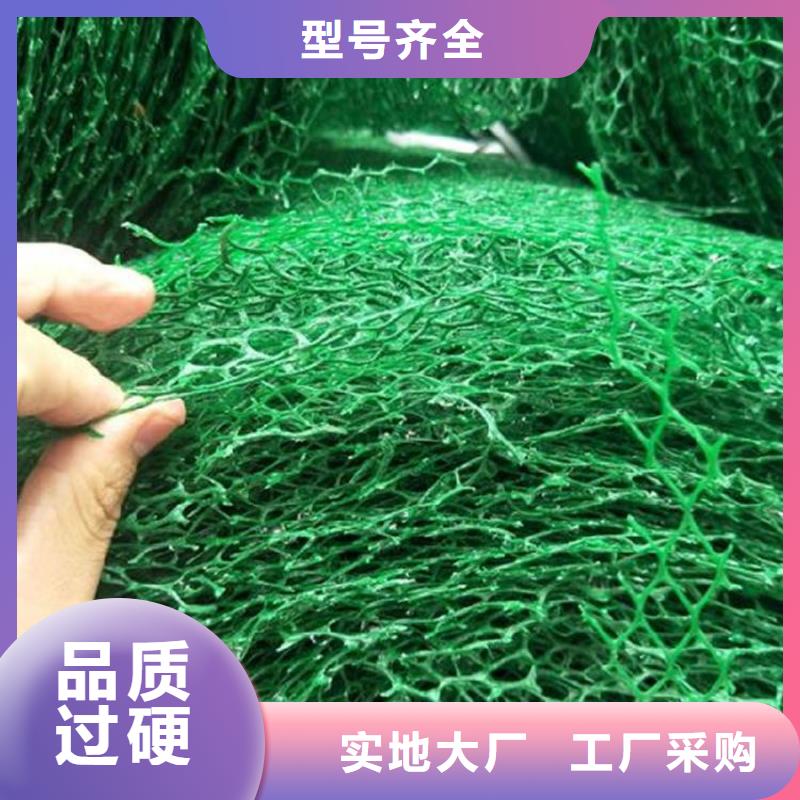 玻纤格栅视频-玻纤格栅_广西省南宁市市场覆盖邕宁|横县|北海|贵港|桂林|钦州等