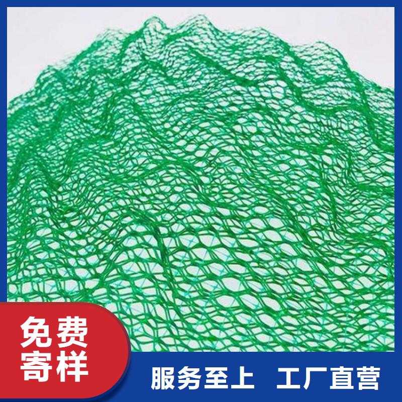 三维植被网涤纶格栅适用场景
