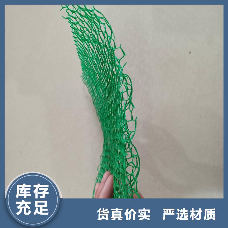 三维植被网涤纶格栅适用场景