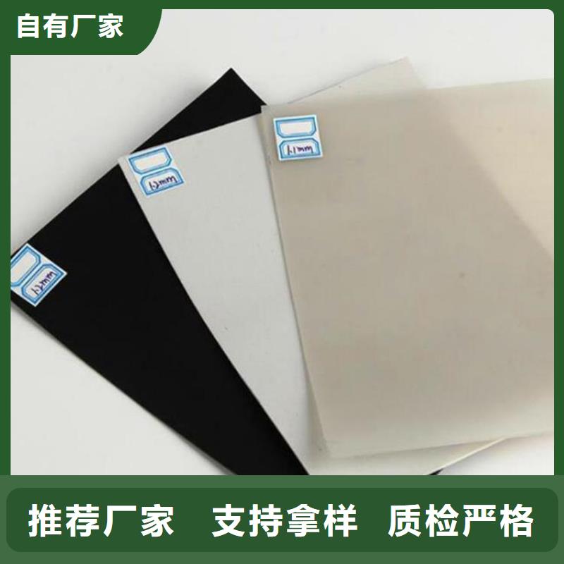 防水板玻璃纤维土工格栅好品质用的放心