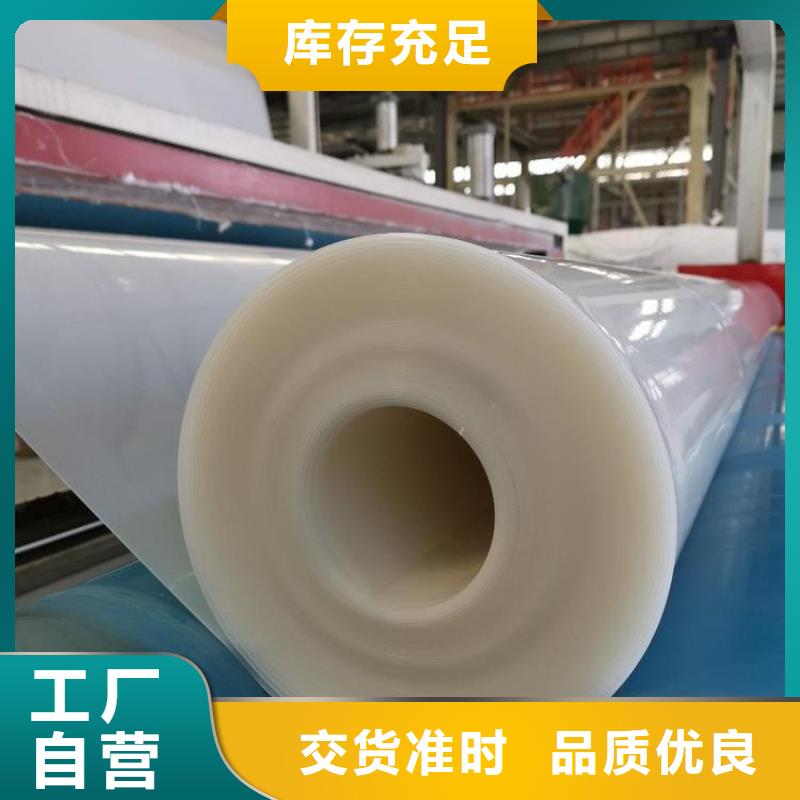 防水板-HDPE土工膜真材实料加工定制