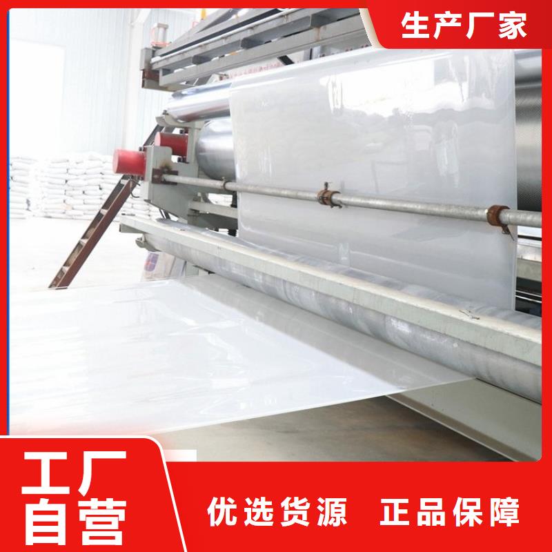 防水板-HDPE土工膜真材实料加工定制