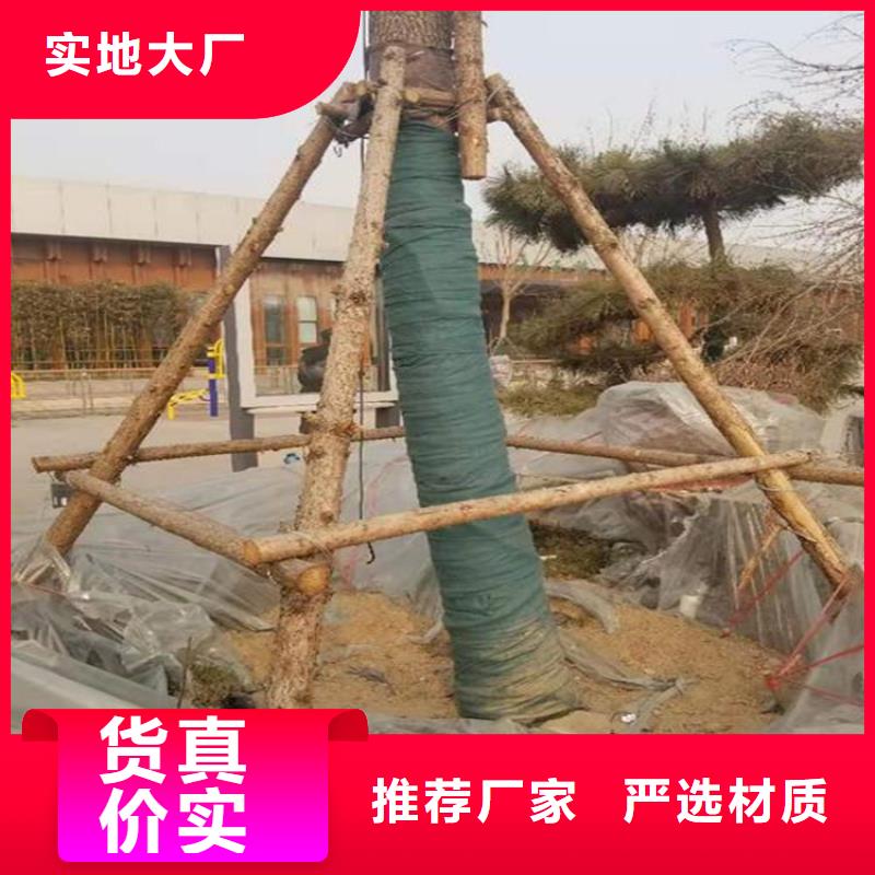 玻纤格栅视频-海兴|沧县|承德|石家庄|邢台|保定|唐山鼎诺玻纤格栅_ 鼎诺土工材料(沧州市分公司)
