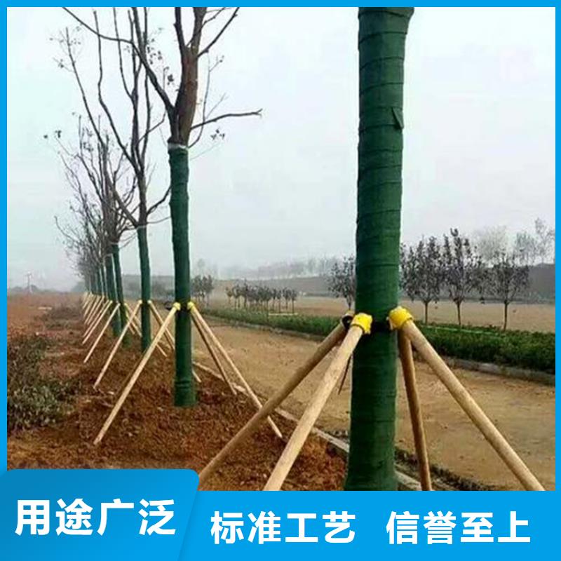 玻纤格栅视频-玻纤格栅_青海省玉树市市场覆盖果洛|西宁|海西|海北|海东|海南|黄南等