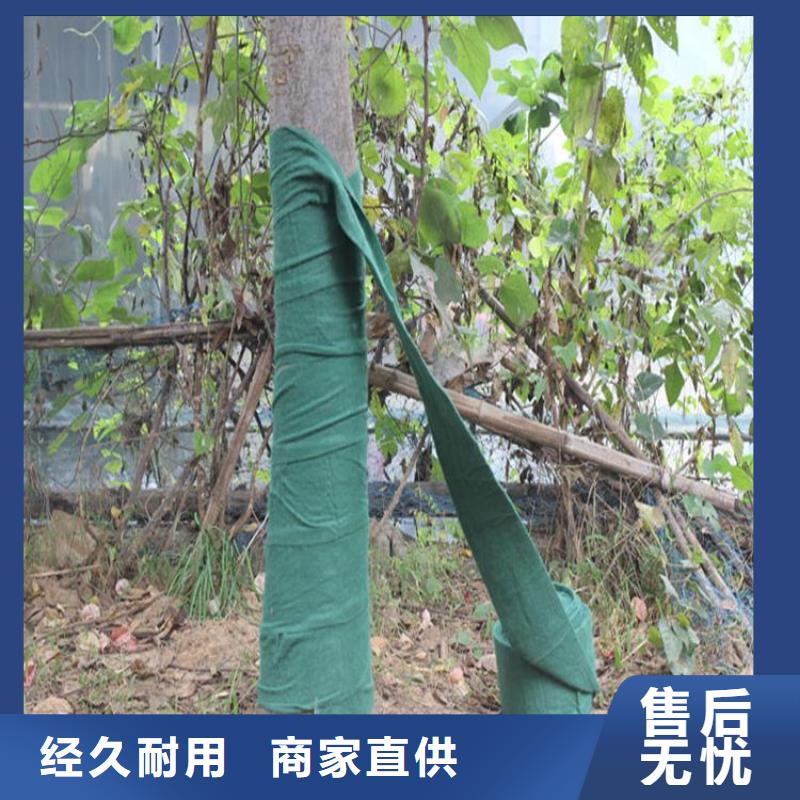 裹树布聚酯布匠心打造
