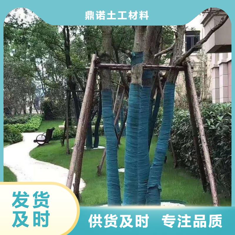 玻纤格栅视频-海兴|沧县|承德|石家庄|邢台|保定|唐山鼎诺玻纤格栅_ 鼎诺土工材料(沧州市分公司)