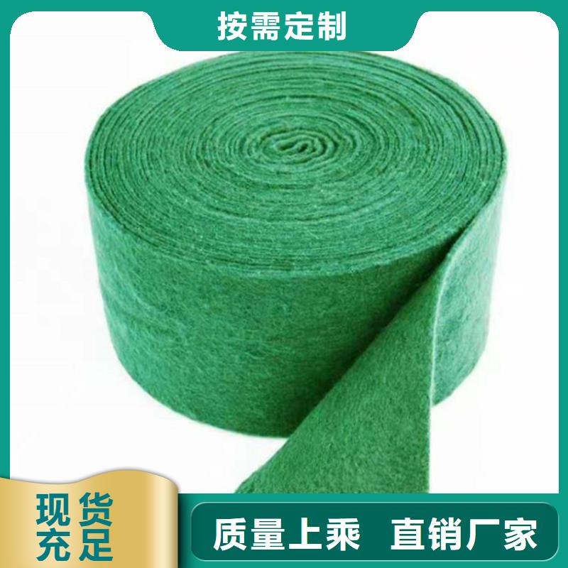 裹树布_土工格栅源头厂家供应